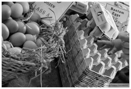 Are eggs for the toddlers to play with?