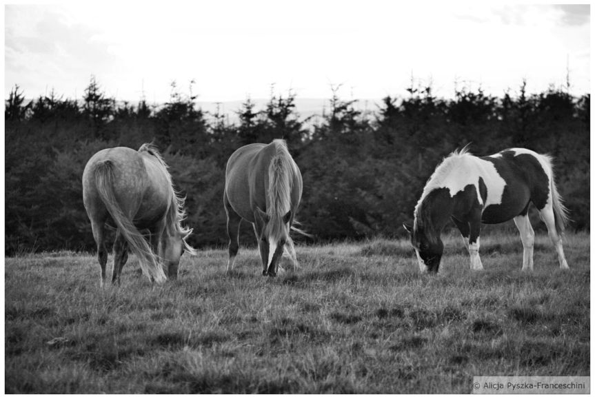 Wales: The Brecon Beacons National Park&nbsp;x3
