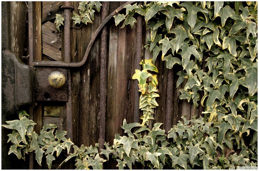 Love Stories and a Responsive&nbsp;Reader