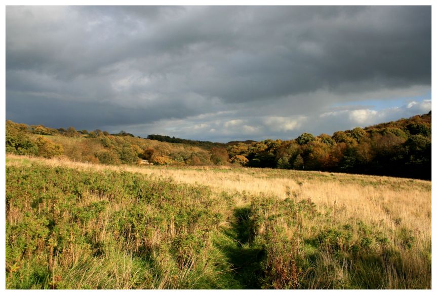 Released From The Clutter (image and&nbsp;article)