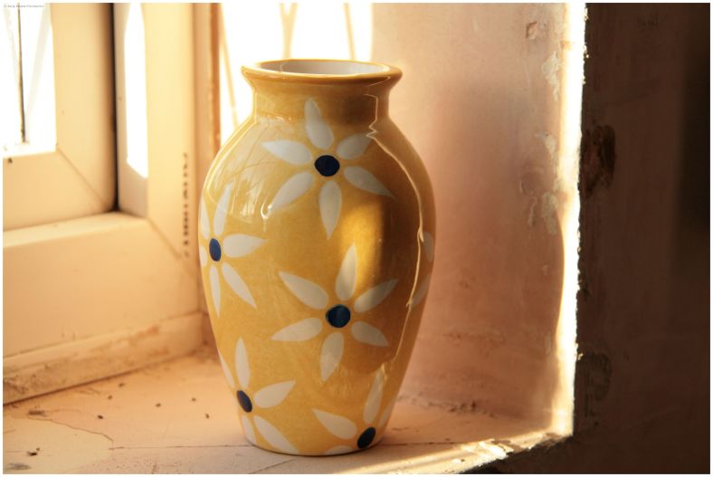 Vase from a charity shop