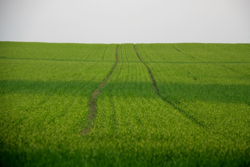 Postcards from Poland