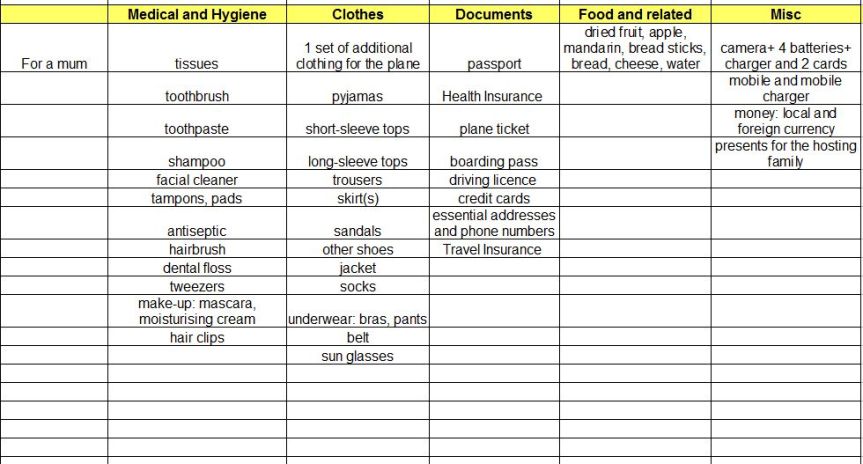 Checklist_Travelling with a toddler 2