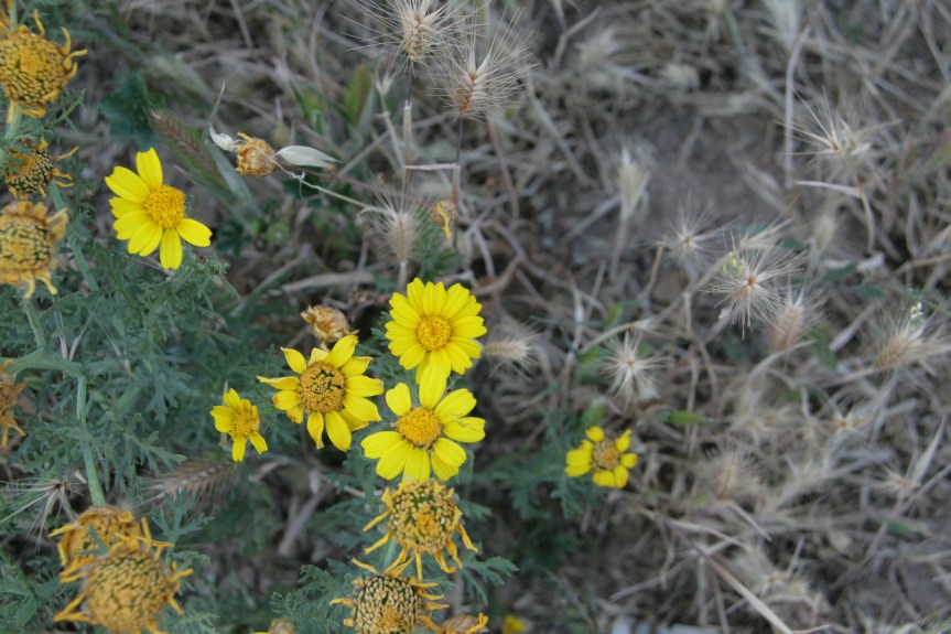 Nothing New: Lesson&nbsp;Learned