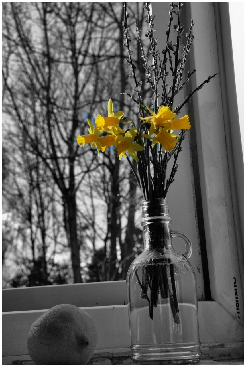 Spring in my heart and in my&nbsp;kitchen…