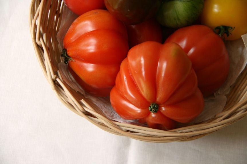 Success and community