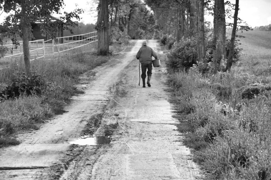 What do we truly want from our lives