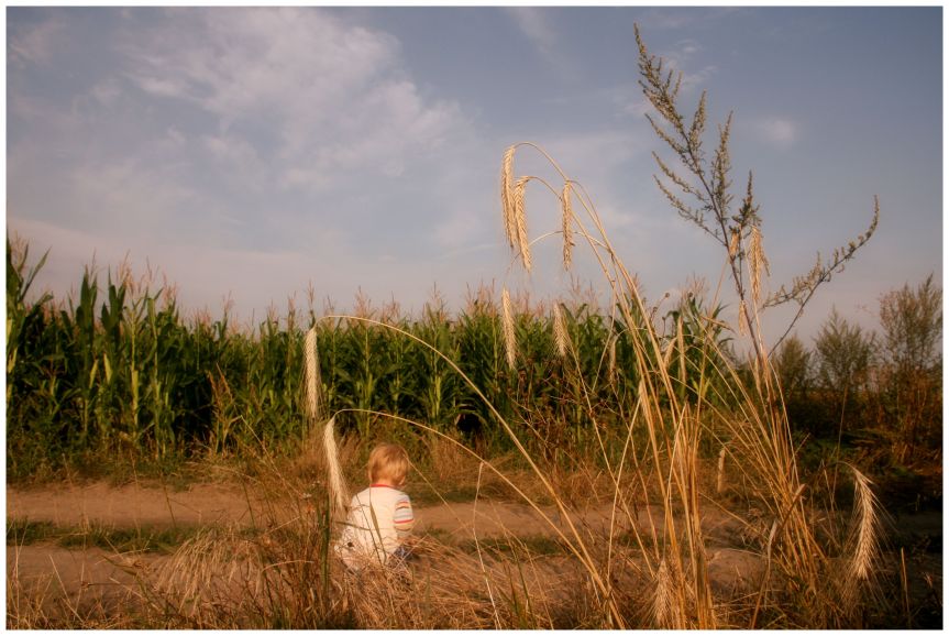 postcardswithout stamps_summer