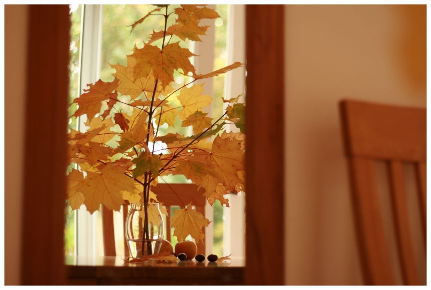 Autumn at home