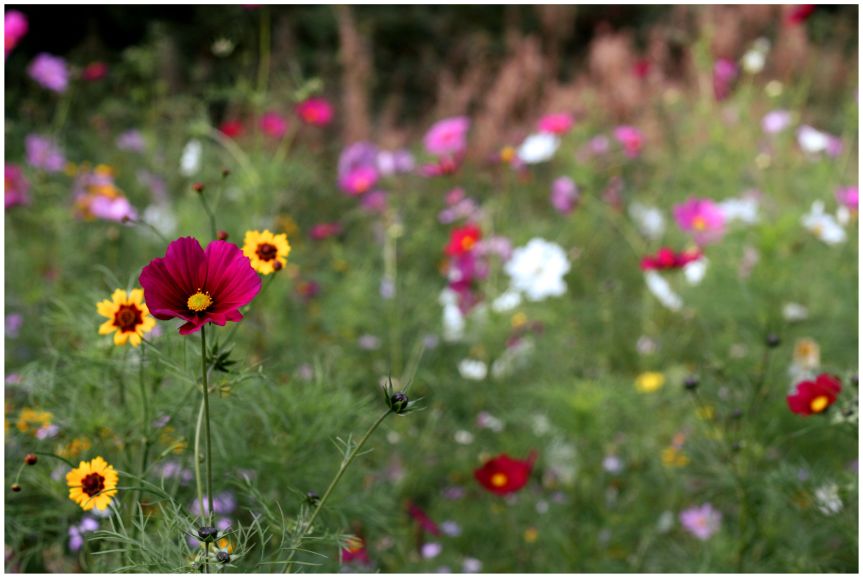 Neighbourhood – an anonymous group of&nbsp;strangers?