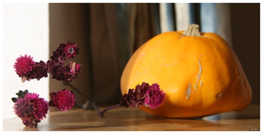 IMG_6935dyniaw sloncu