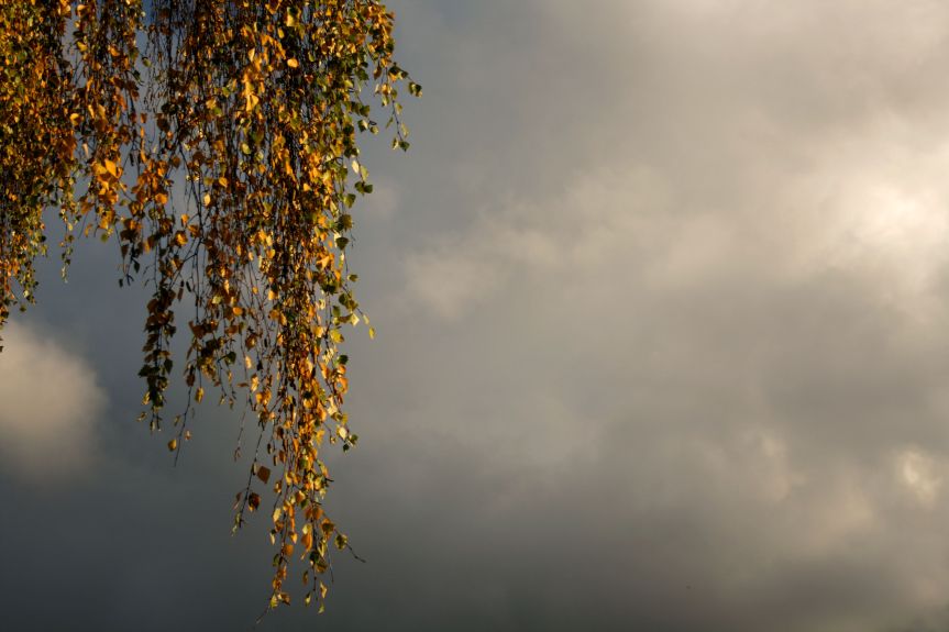 IMG_9681_nothing new