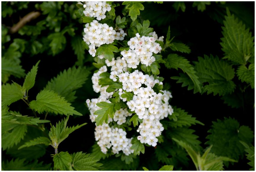 The truth in&nbsp;compassion