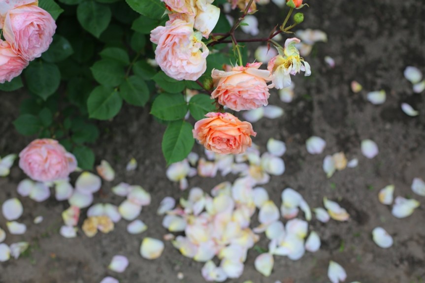 Holidaying in this&nbsp;space