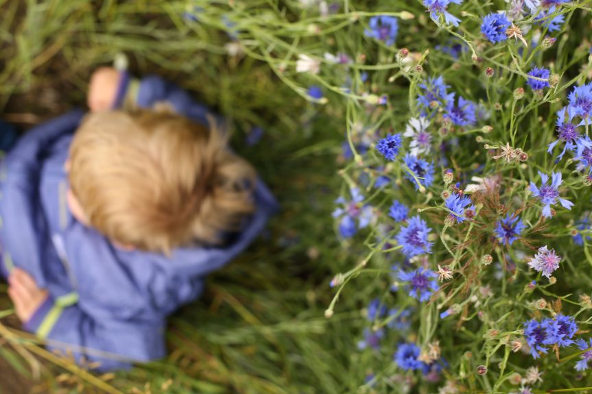 raising your energy levels