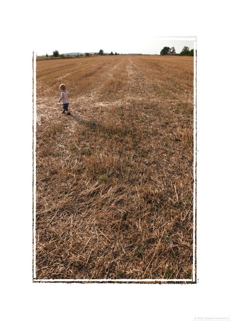 Postcards without stamps_blog_Alicja PF