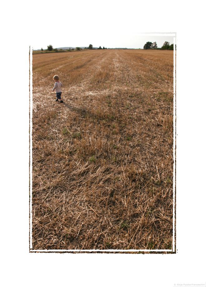 Postcards without stamps_blog_Alicja PF