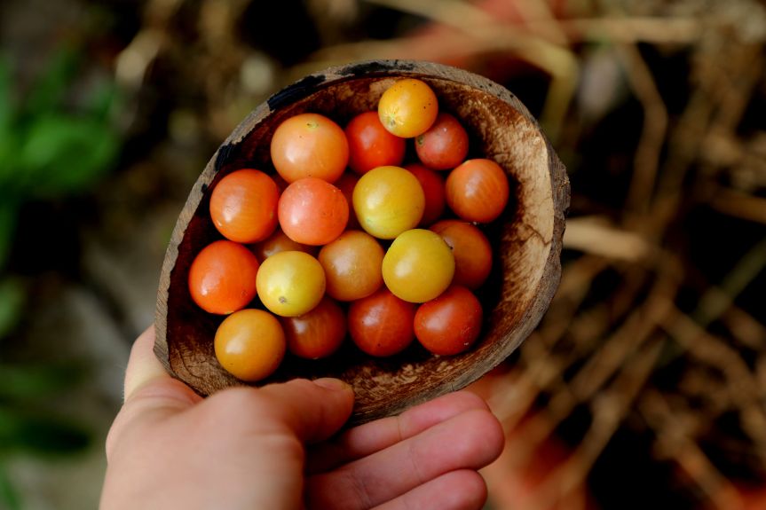 Giving yourself permission to&nbsp;create