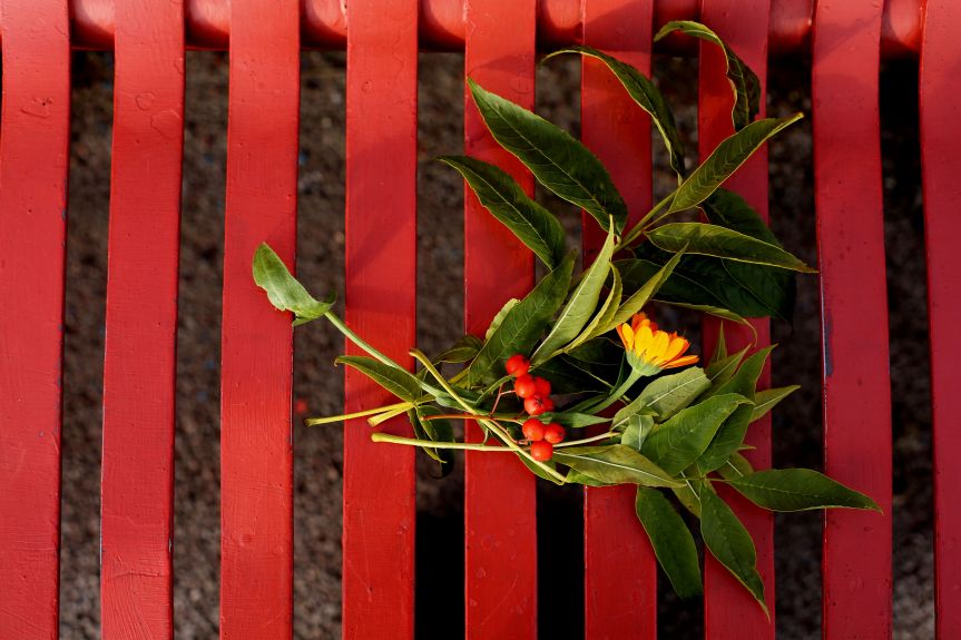 Why do we do what we&nbsp;do?