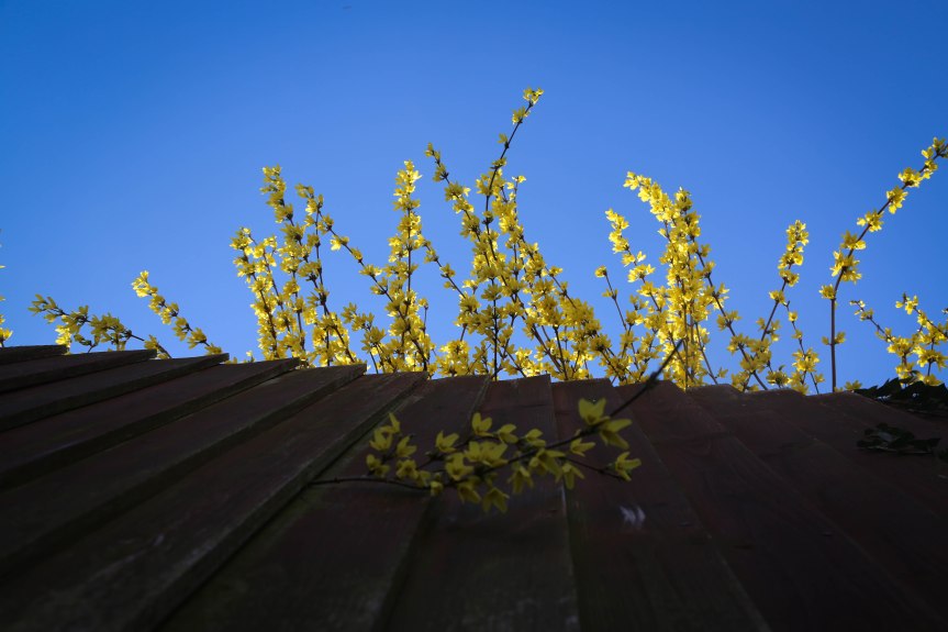 living our own life (1 of 1)