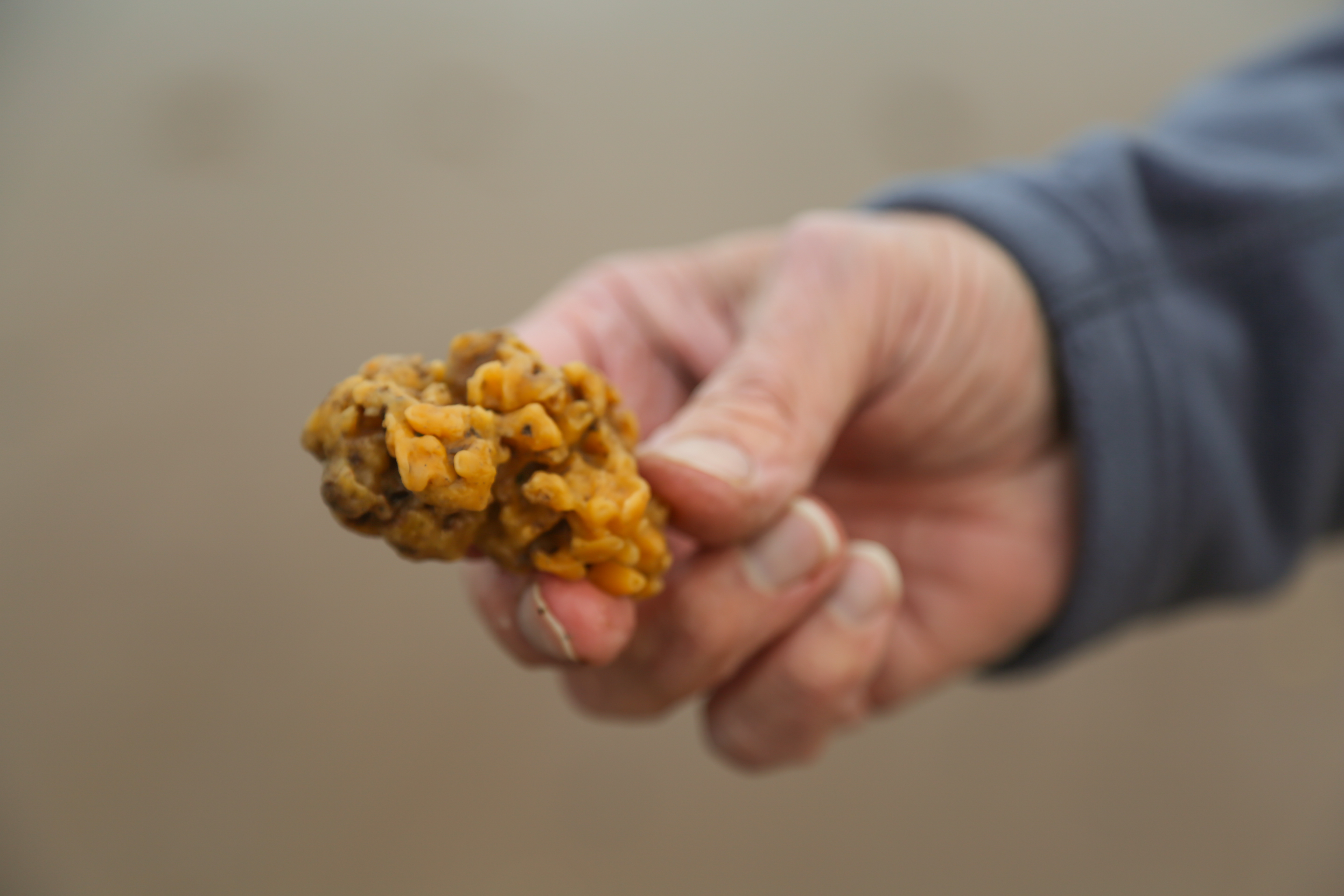 Dawlish Warren_Postcards mare (1 of 1)