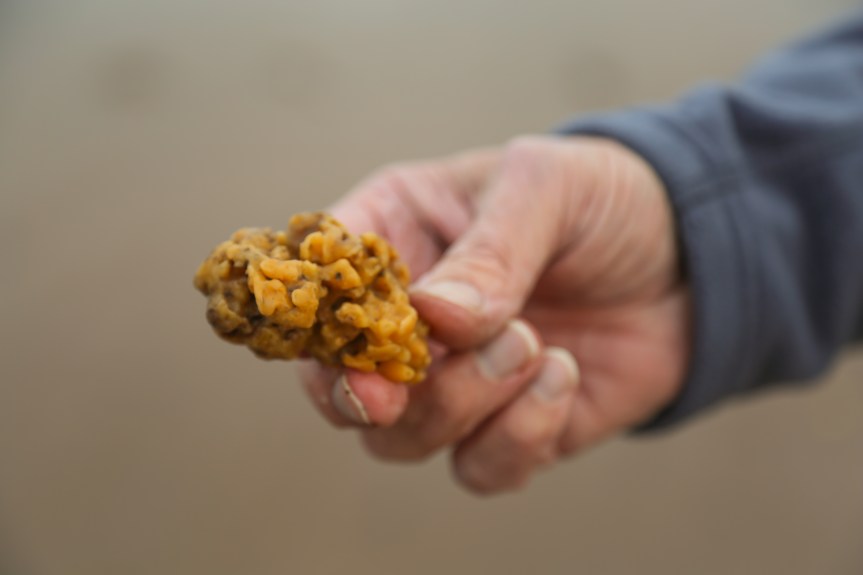 Dawlish Warren_Postcards mare (1 of 1)