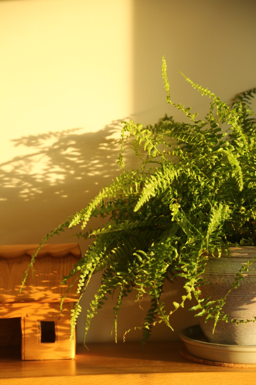 But then, on the other&nbsp;hand…