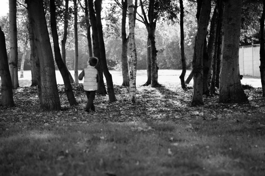 park autumnbw (1 of 1)