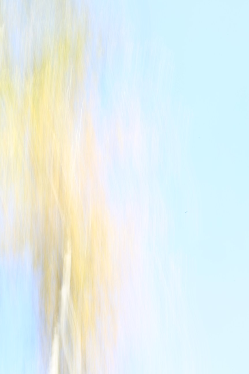 Photo Competition and Impressionistic&nbsp;Photography