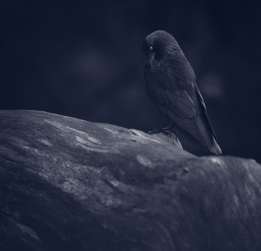 Darkness that sits&nbsp;still