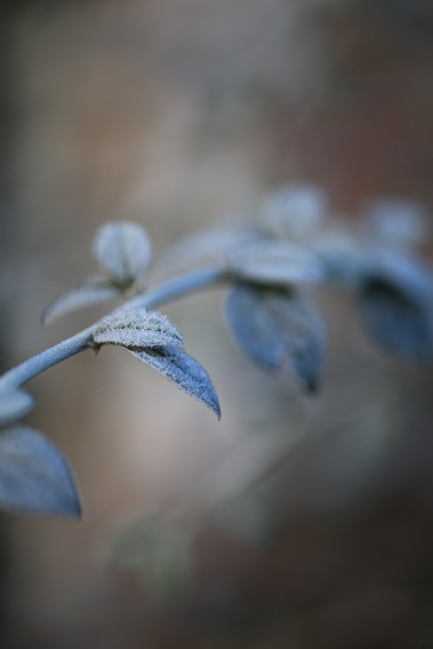 Conscious-consumerism is a legitimate state of&nbsp;mind.