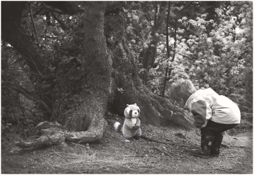 Thankful Tuesday: The National Tree Week and Writing a&nbsp;Novel