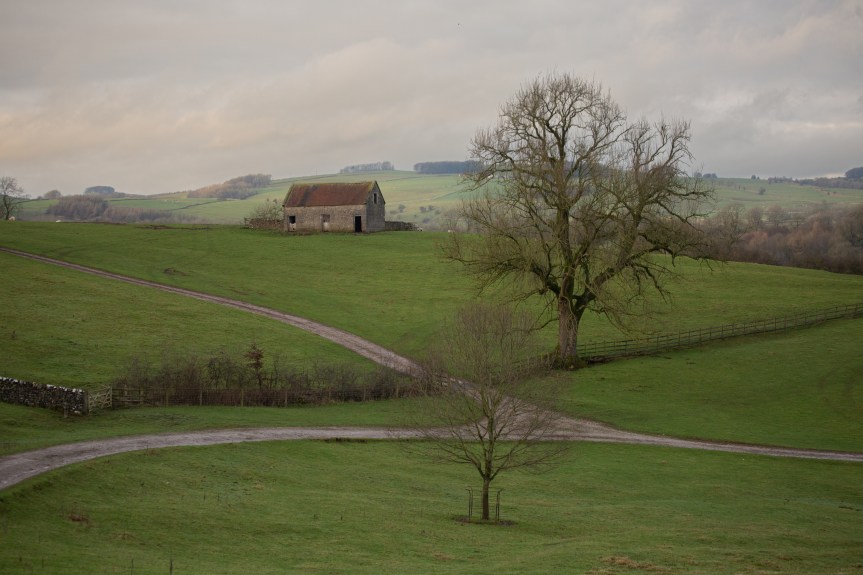 Merry Christmas. Gratitude from a&nbsp;trail.