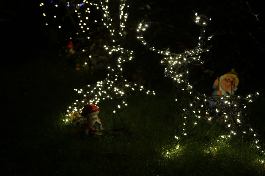 Front yard fairy-tales. Manifesting&nbsp;joy.