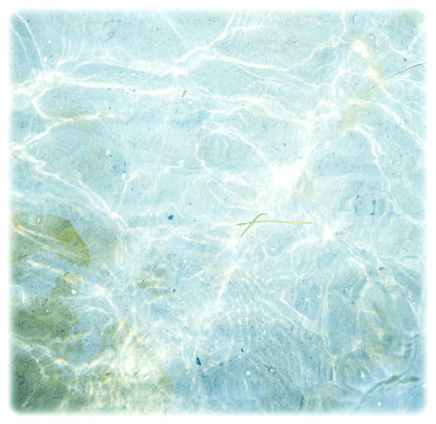 Ash Wednesday: Reflections